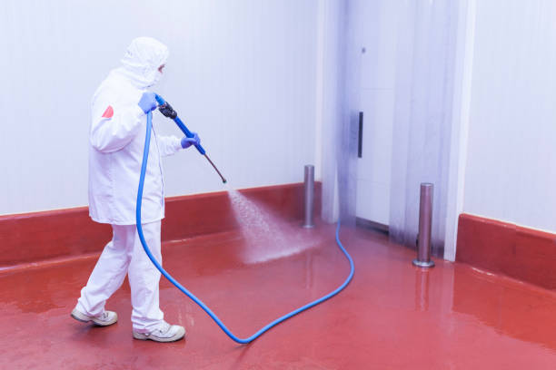 Boat and Dock Cleaning in Delta, CO